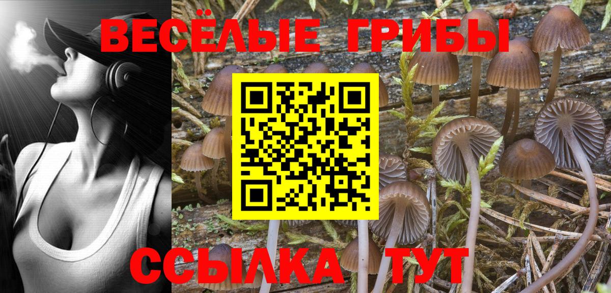 Галлюциногенные грибы ЛСД Тара