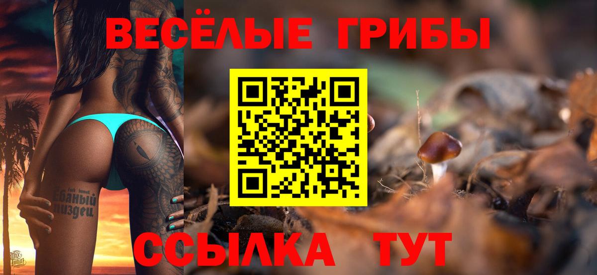 наркота  Псилоцибиновые грибы Cubensis  Вход с VPN  Галлюциногенные грибы Magic Shrooms  Тара 