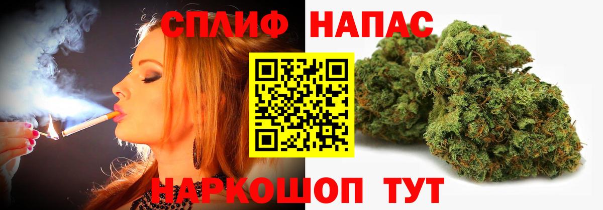 Конопля Bruce Banner Тара